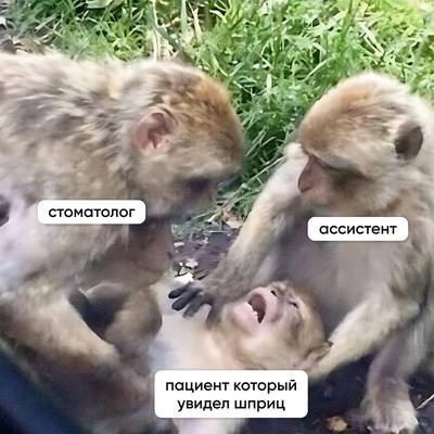 Мем